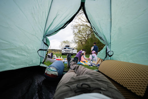 Outdoor family picnic